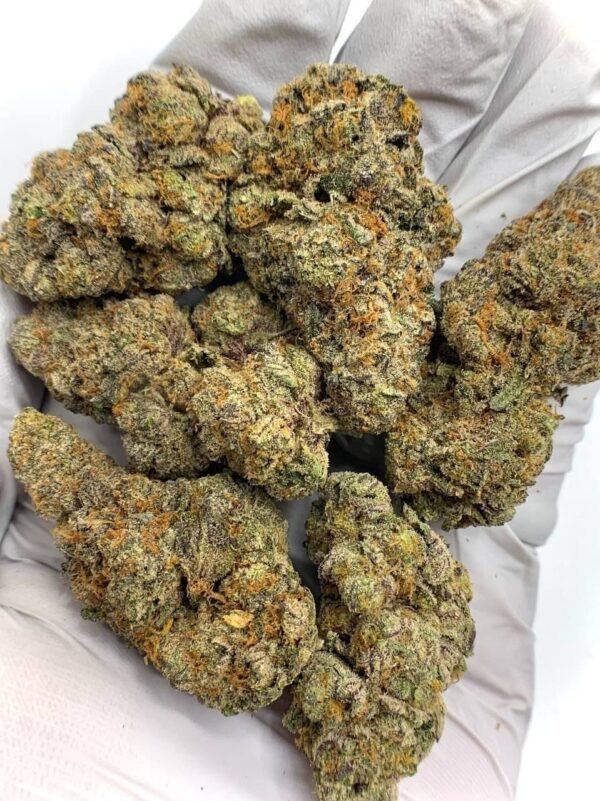 Biscotti THCa Flower
