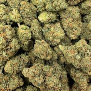 Gorilla Glue 4 (GG4)
