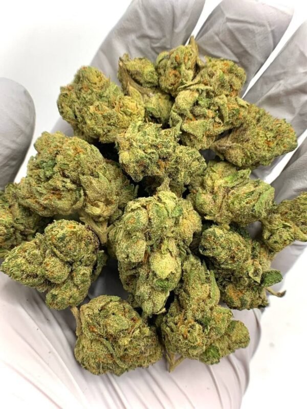 Apple Fritter THCa Flower