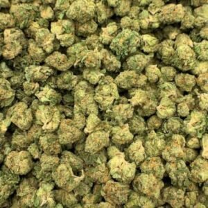Peyote Cookies THCA Flower