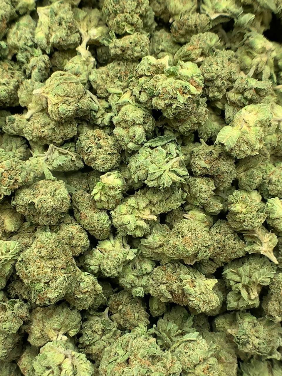 Fruity Pebbles OG THCA Flower