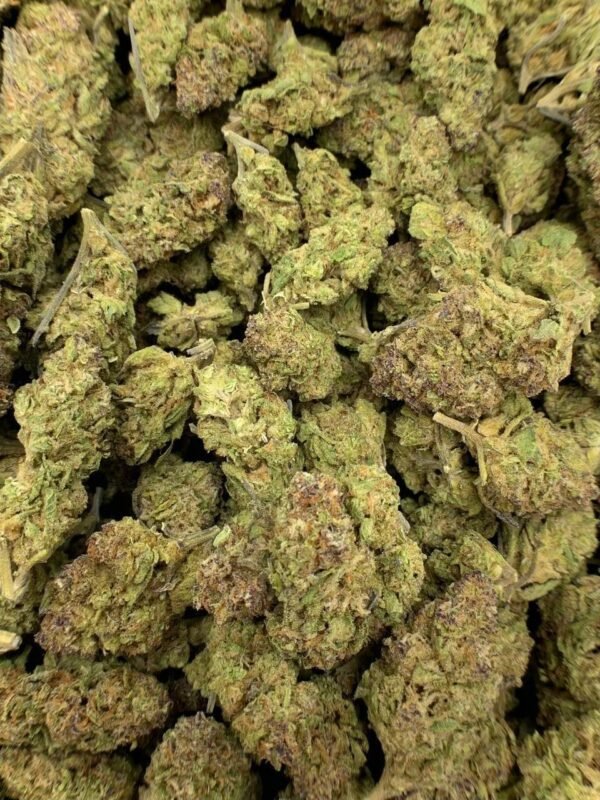 Sensi Star THCA Flower