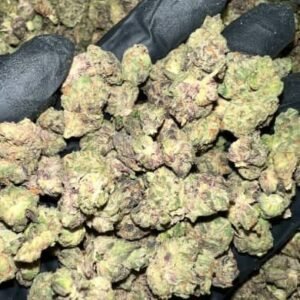 Citrus Kush THCa Flower
