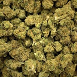Bubblegum Dream THCa Flower